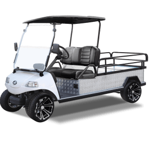 Turfman 1000 Golf Cart