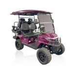 STRIKE 4seat Lifted Purple