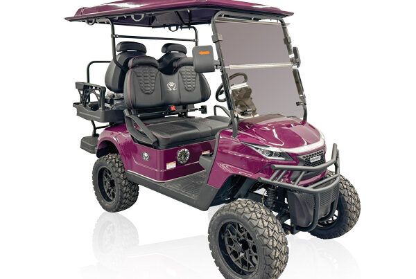 STRIKE 4seat Lifted Purple