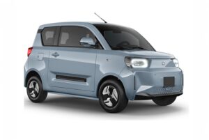 Leopaard Electric Vehicle - Deluxe Model