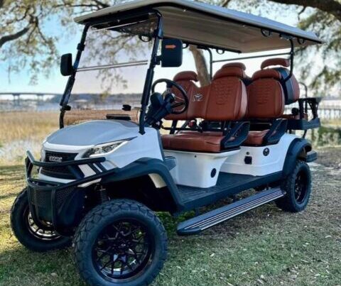 Venom Strike-6 Street-Legal Golf Cart