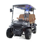 Dach Apollo 0 front Caramel