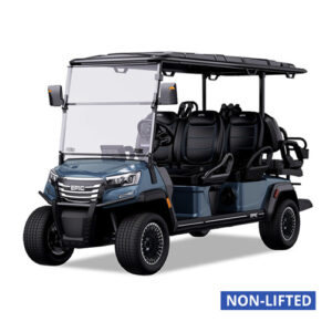 EPIC E60FX Golf Carts Metallic Midnight