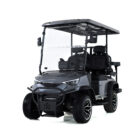 DACH Falcon 2 2 Grey