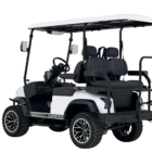 DACH Falcon 2 2 White