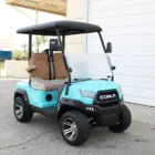 Coala 2 BabyBlue TanSeats FrontSide